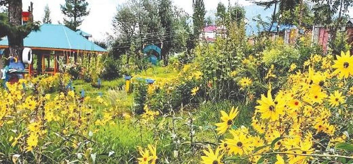 The work on the park was started some three years ago and took authorities almost a year to complete.