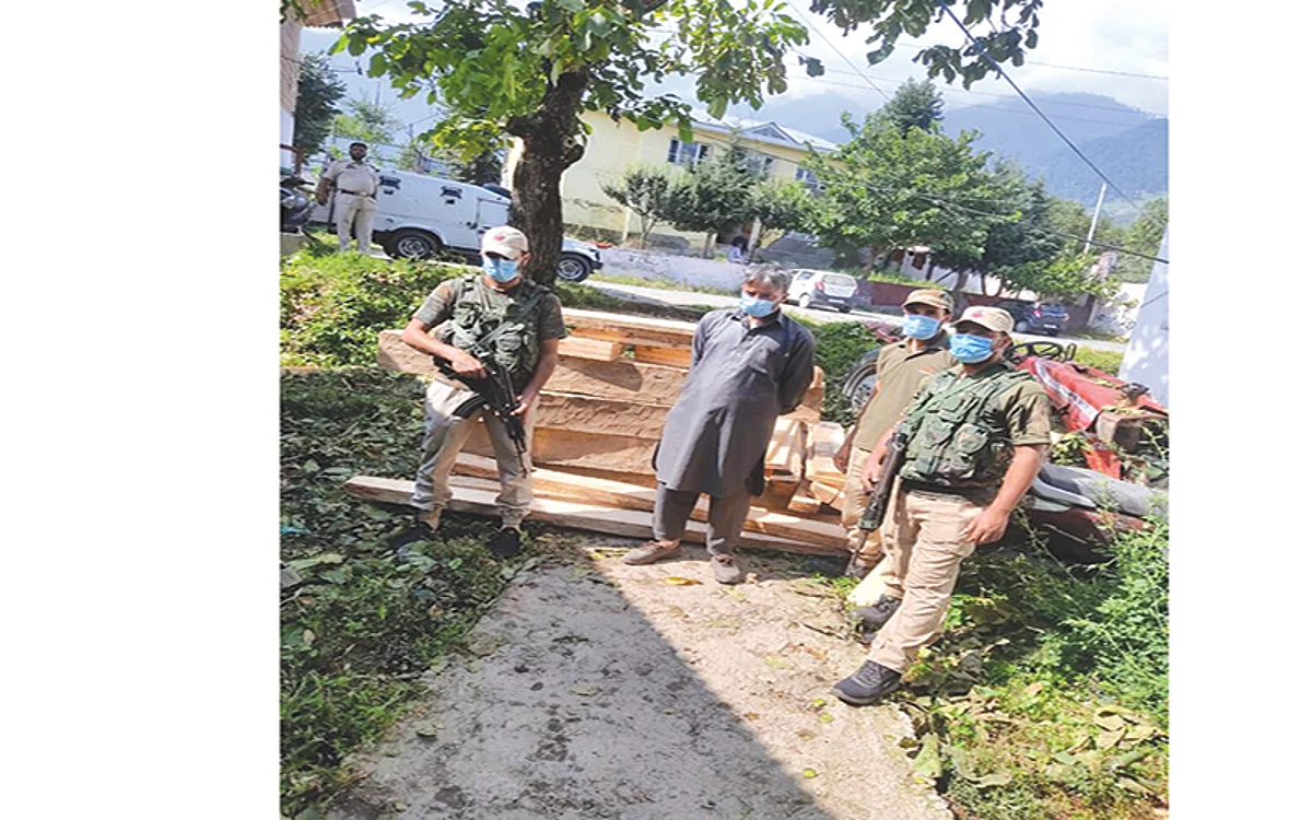Illicit timber seized in Budgam, accused arrested: Police