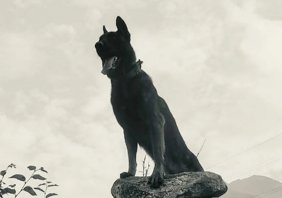 The Indian Army’s assault dog named Zoom that was injured during an encounter in Anantnag district on Monday died during treatment at Military Veterinary Hospital in Srinagar, Army said.