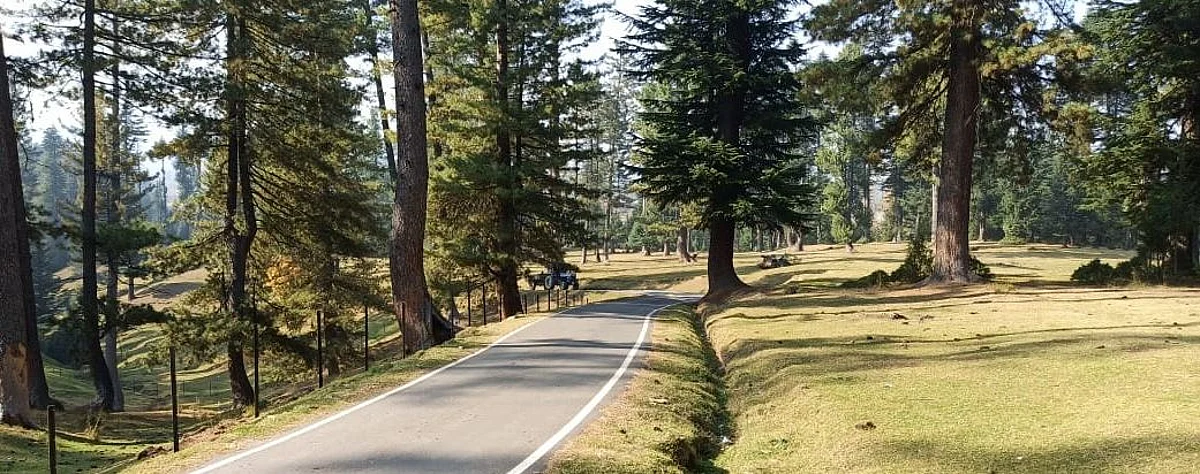 The drive through the rusty smell of deodar trees and the sleepy silence of this village is a calming journey into the hinterlands of Kashmir.