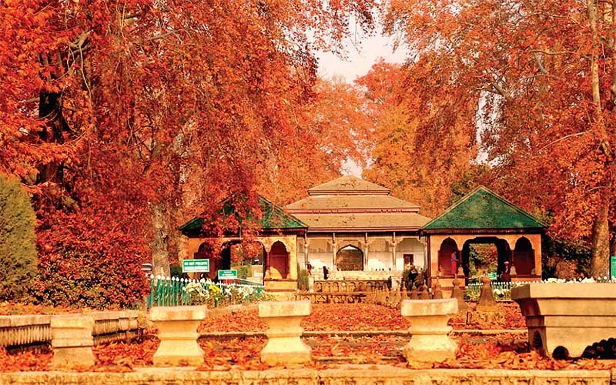 Mesmerised by hues of fall, tourists, influencers, filmmakers visiting Kashmir in droves