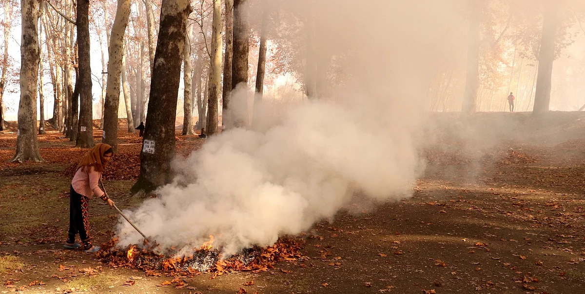 Billows of smoke rise as girl burns fallen chinar leaves to make coal colloquially known 'Panne Tsceni' and used in earthen fire pots during winters in Kashmir.