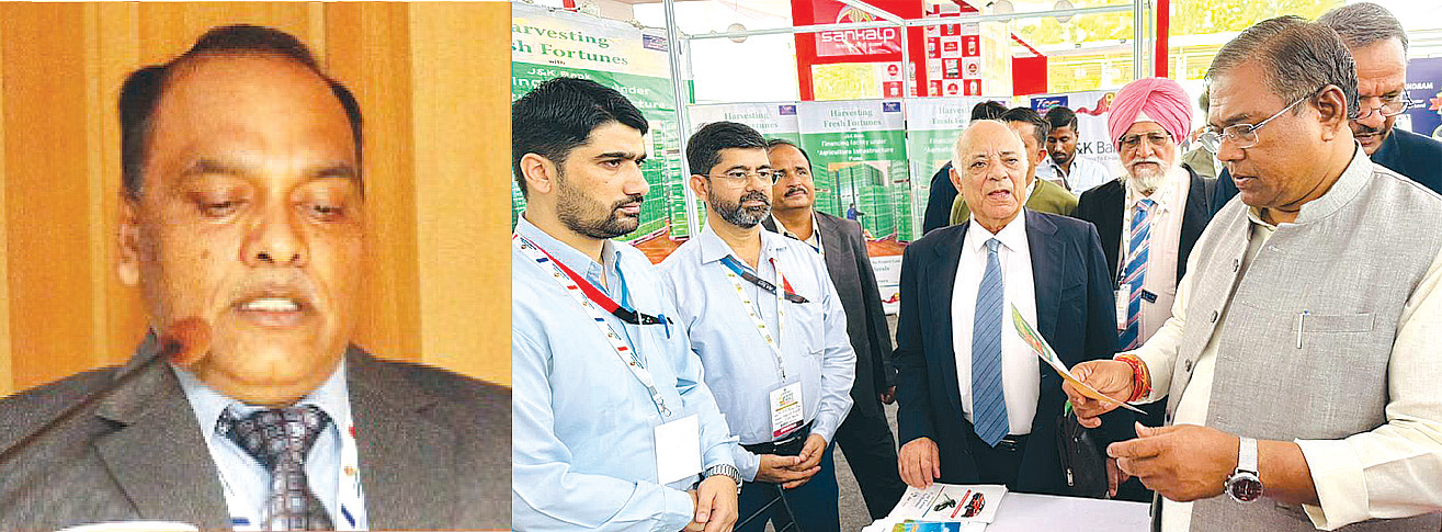 ‘J&K Bank contributes 77% of total agricultural lending in UT’