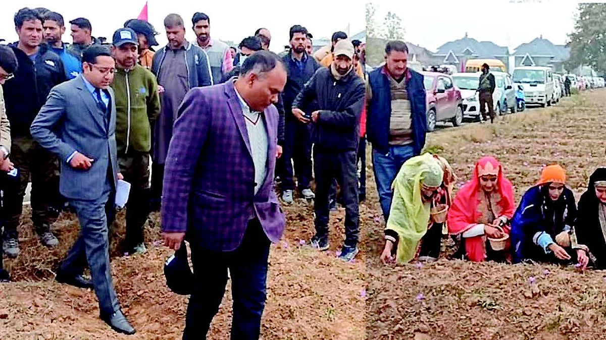 He was speaking at a Saffron festival organised by the Directorate of Tourism, Kashmir today in the Karewa of Pampore.