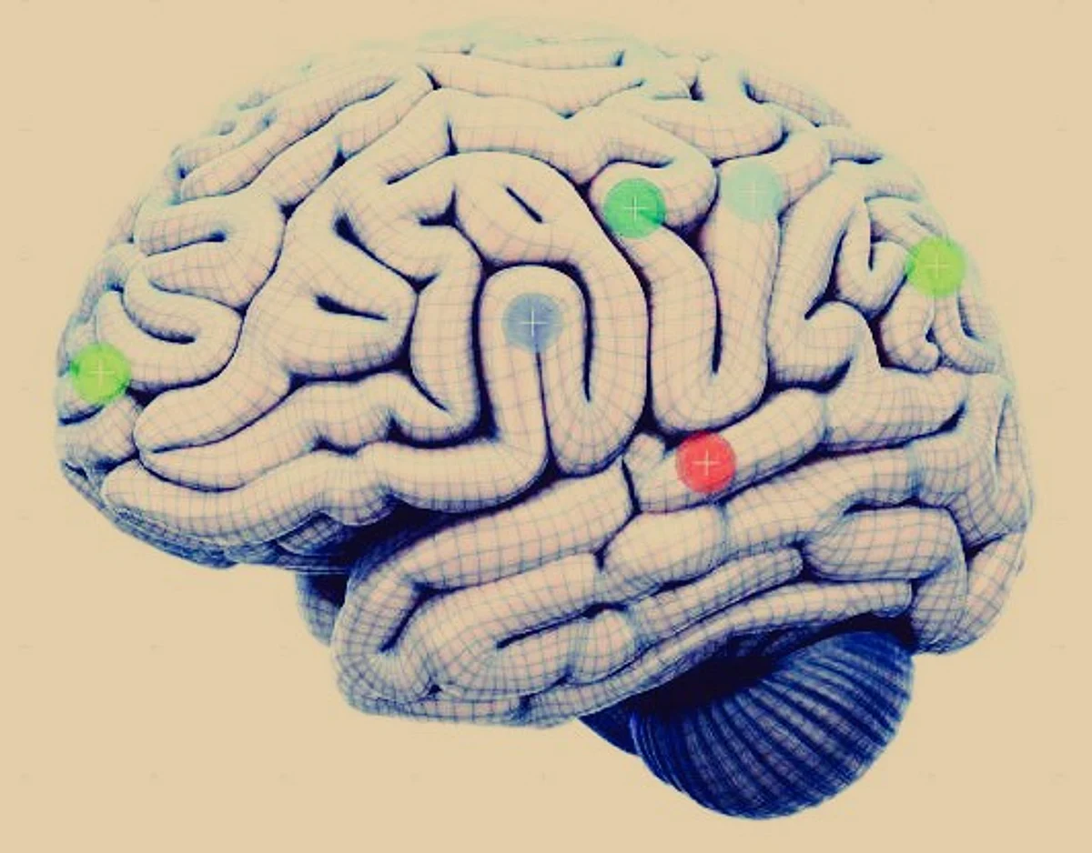 NeuroDidactics aim to integrate the curiosity, attention and emotions of learners.