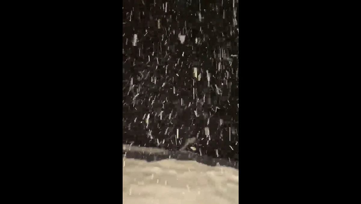 Eyewitnesses said the hill resort Sanasar saw a heavy rush of tourists since Thursday morning as they were expecting snowfall at the end month of calendar year 2022.