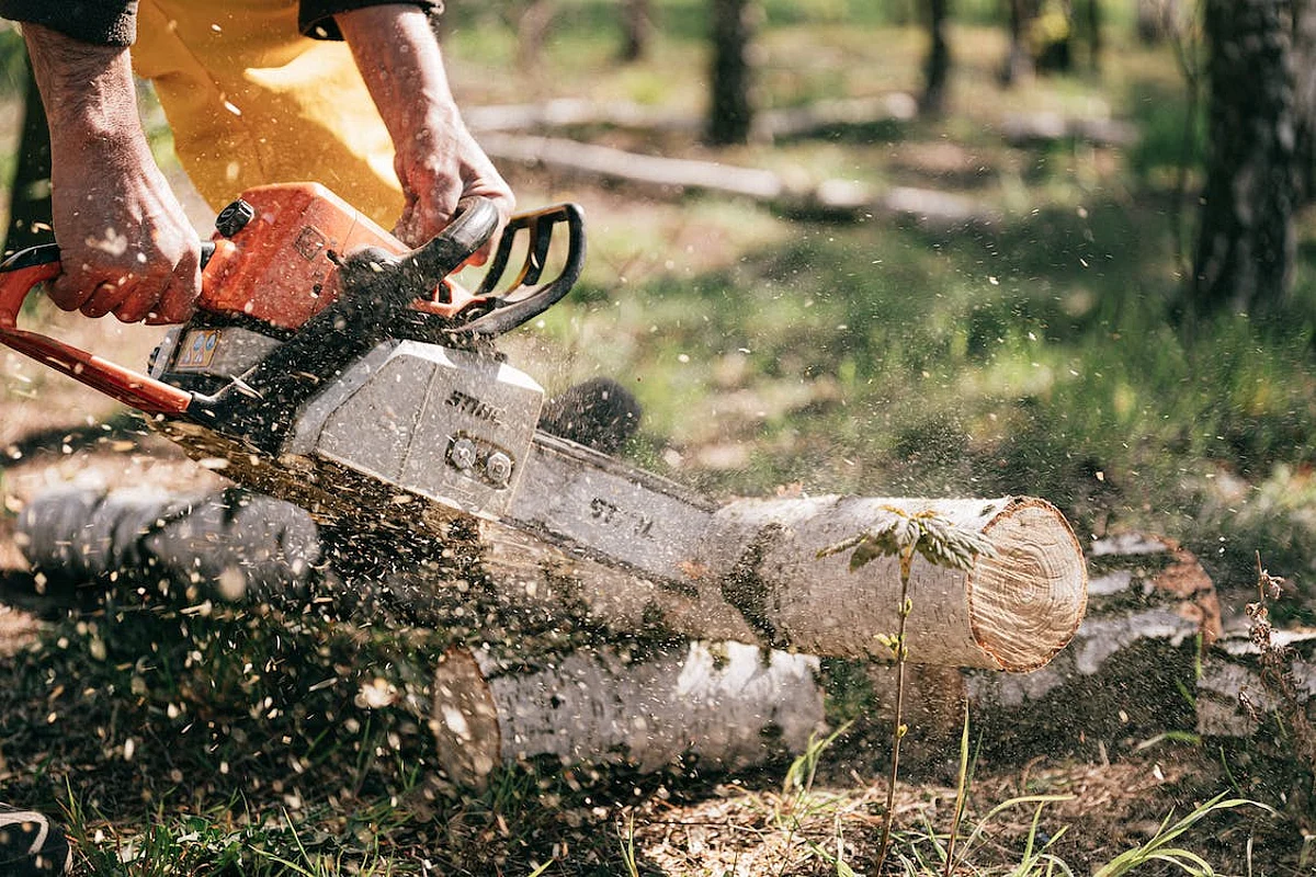 Representational Image