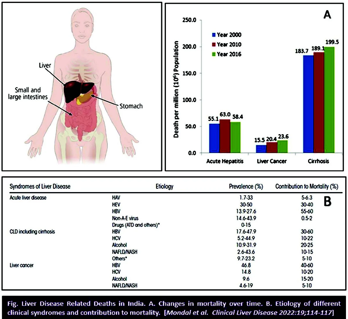 "There are more than a hundred different liver diseases of diverse nature that are being identified as the leading causes of disability, disease, and death globally."