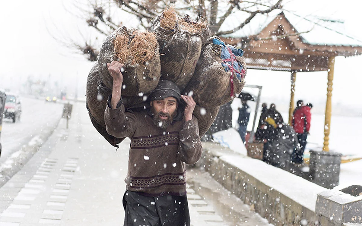 A man walks along the Boulevard road in Srinagar as he carries sacks of coal on his shoulders amid snowfall on Friday.