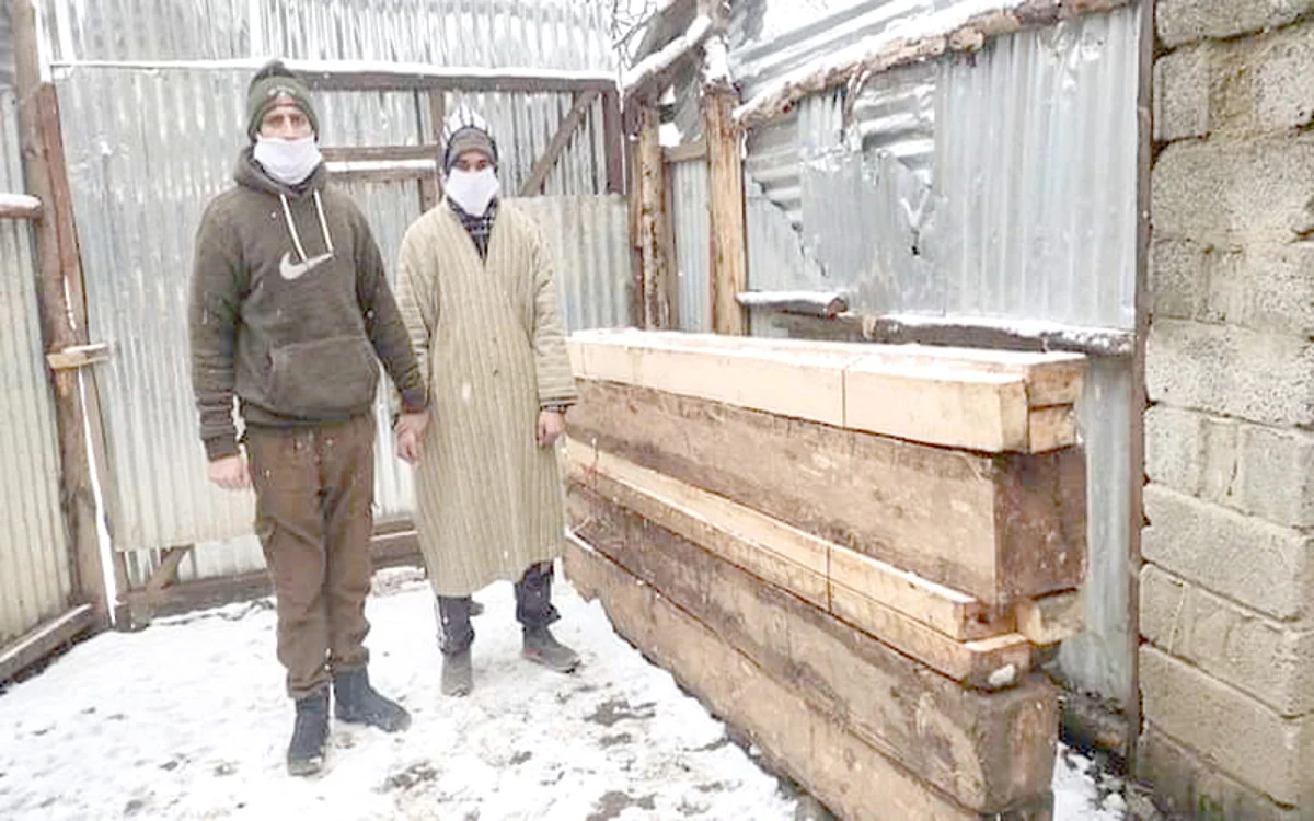 ‘14,000 feet illicit timber, 38 vehicles seized in Kashmir in 2022’