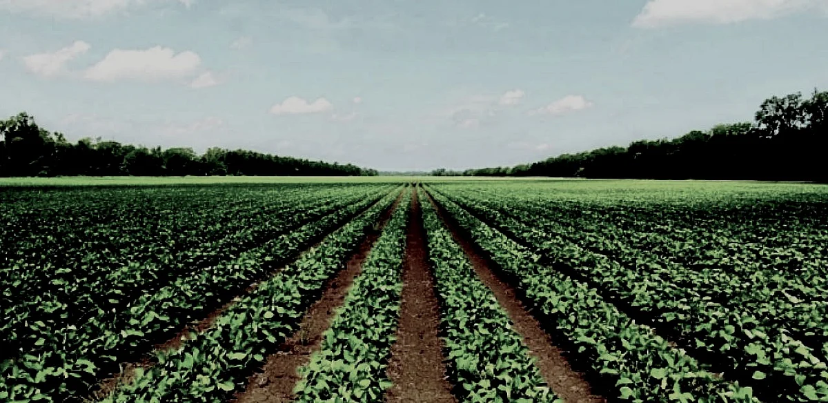 "It connotes that even if the produce of one’s labour is small or one has small possession of things, it is always much greater & better than that of the others’ big possessions & things."