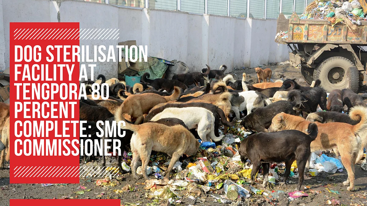 80 percent work on dog sterilisation facility at Tengpora completed: SMC Commissioner