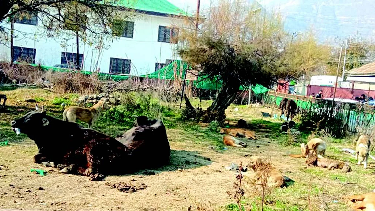 The hospital is likely to come up at the place of the old hospital building which has around 34 kanal land and has been abandoned ever since the old hospital was shifted to a new place at Kanth Bagh Baramulla.