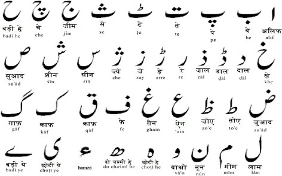 ‘Urdu Day’ celebrated at Jammu University