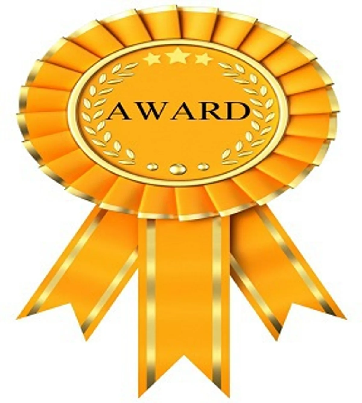 Ufair Aijaz bags Polaris India award
