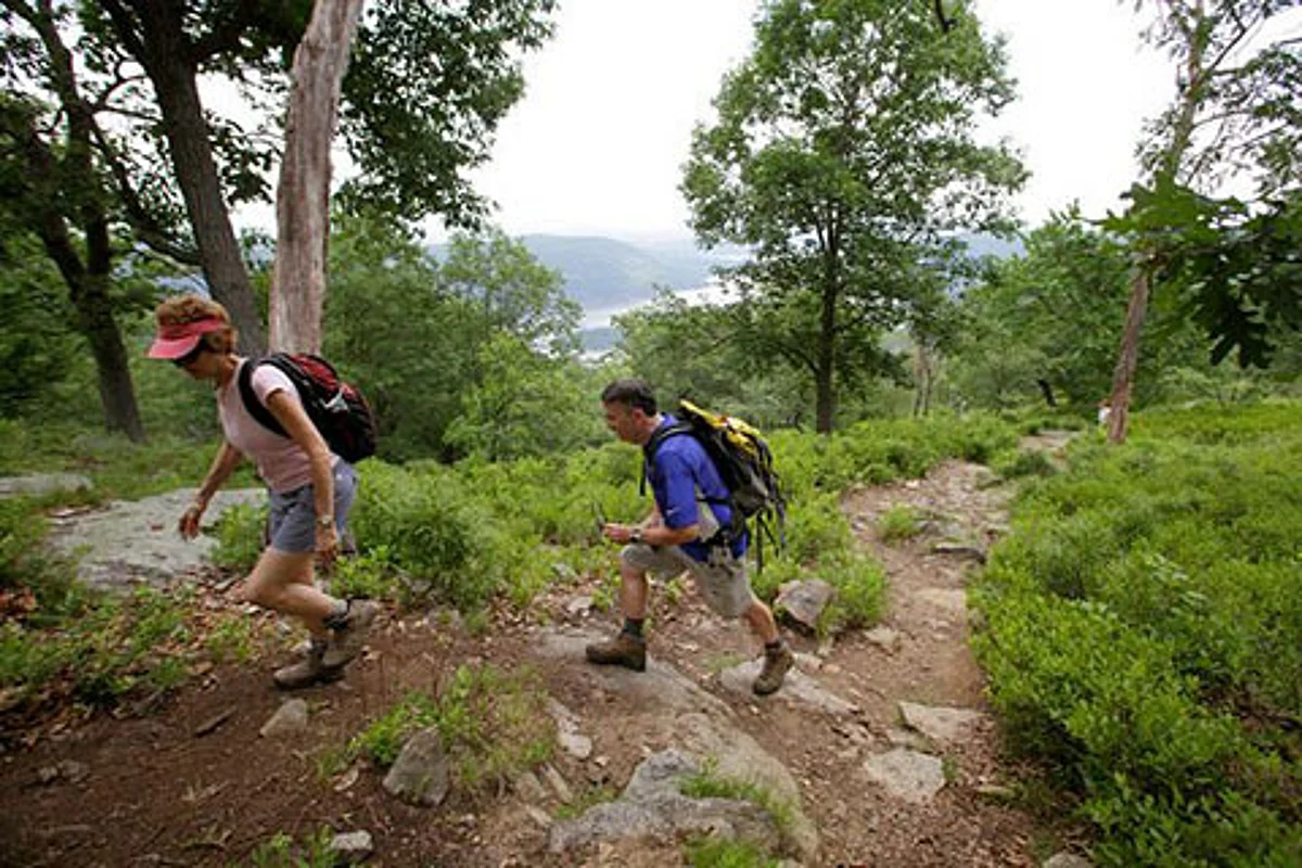 Bandipora trekking camp on Monday