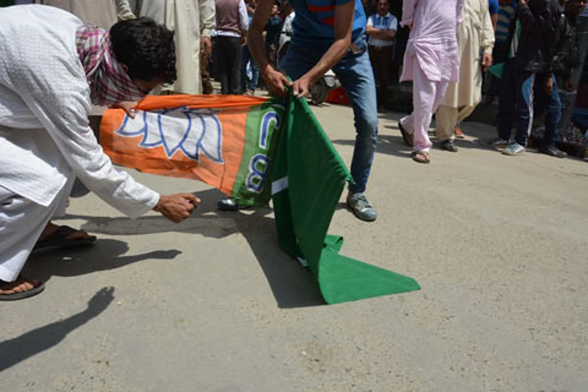 Pakstan flags waved at South Kashmir rally