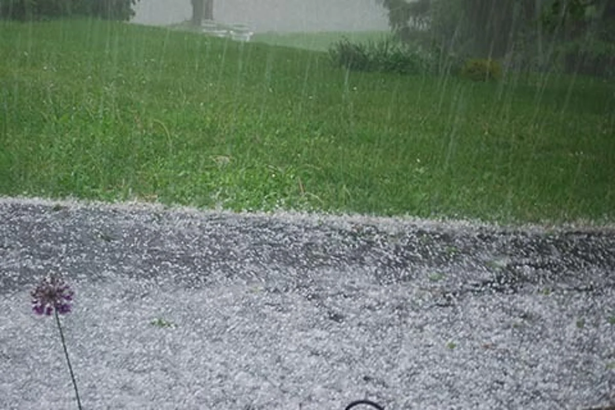Hailstorm destroys crops