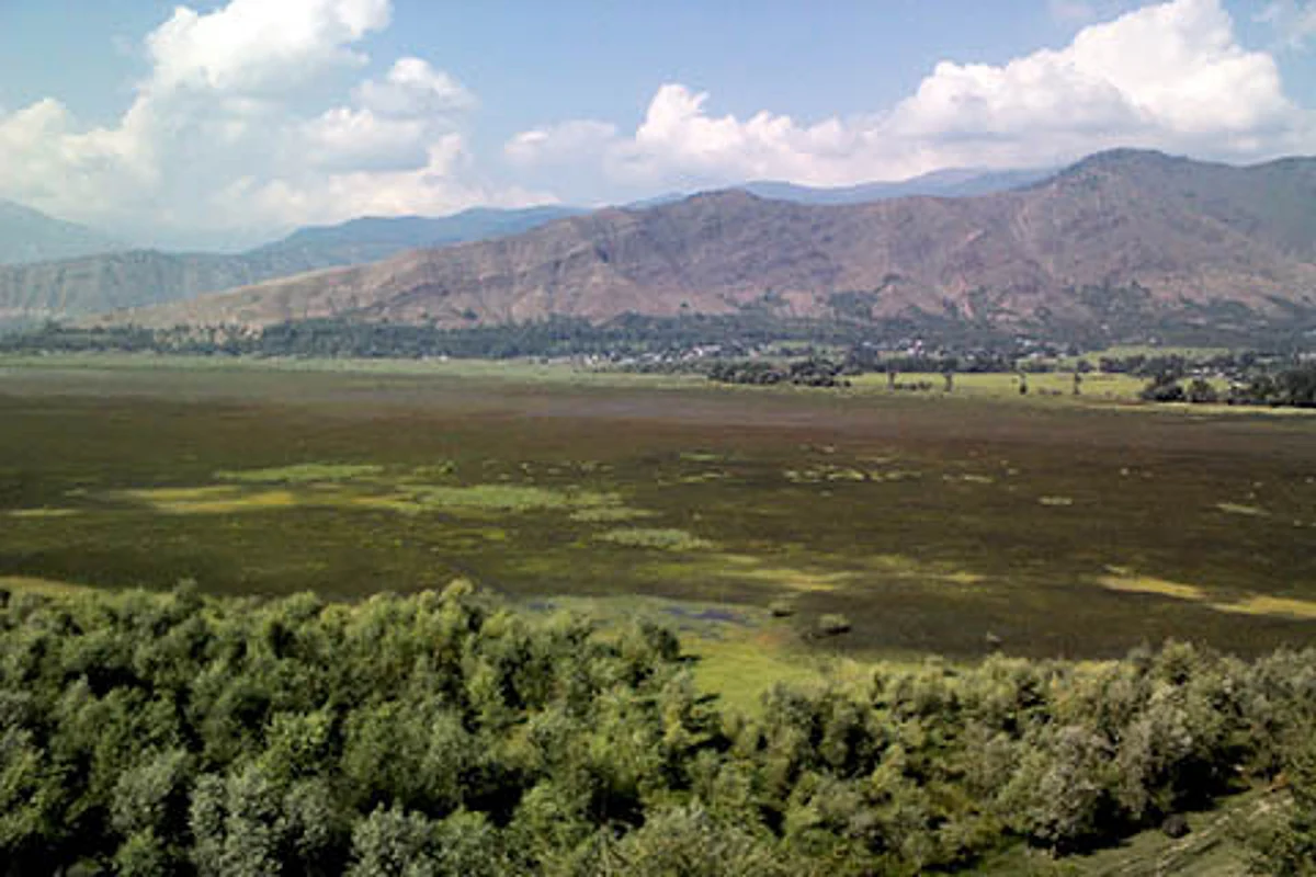Wular Lake falls to encroachments, pollution, siltation