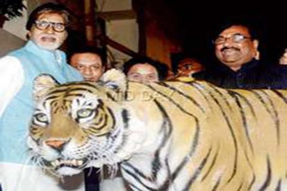 Amitabh Bachchan to debut as tiger ambassador on Tuesday