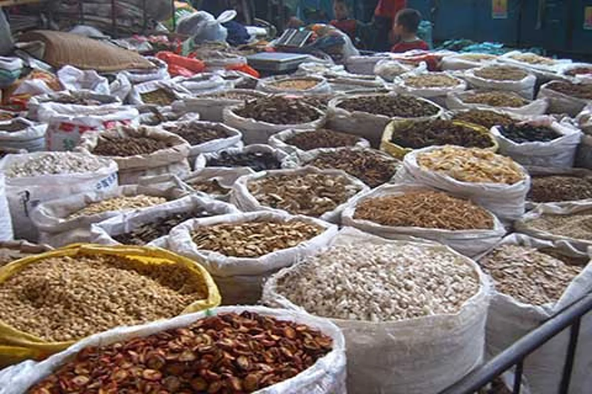 Exploring Kashmir’s Herbs