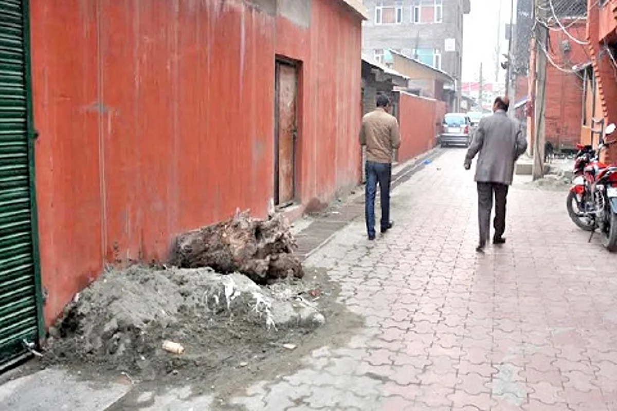 Vouching for ‘Clean-Green’ city, SMC puts Press Enclave in mess
