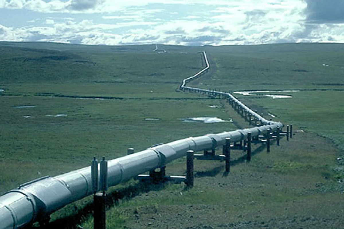 Oil ministry mulling new LPG connections on EMIs