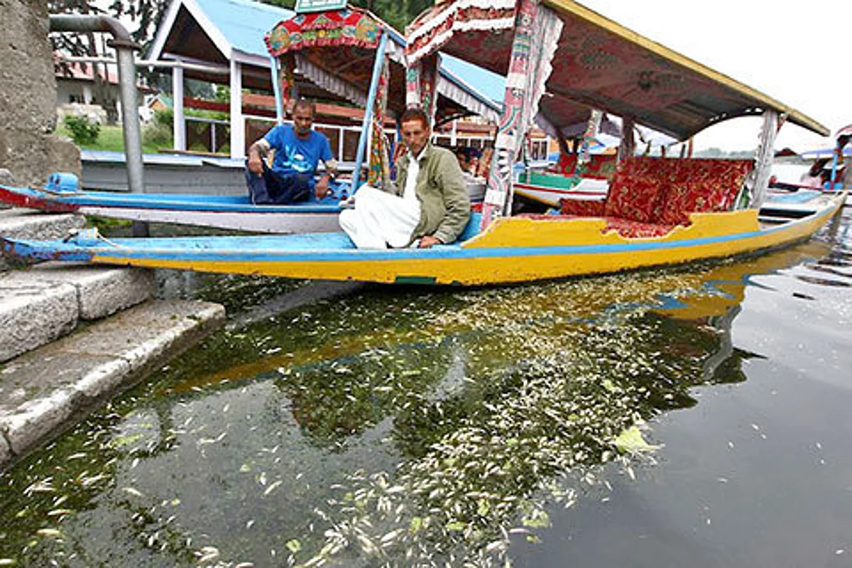 ENCROACHMENTS IN DAL LAKE: HC miffed over collusion between LAWDA, police, mafia