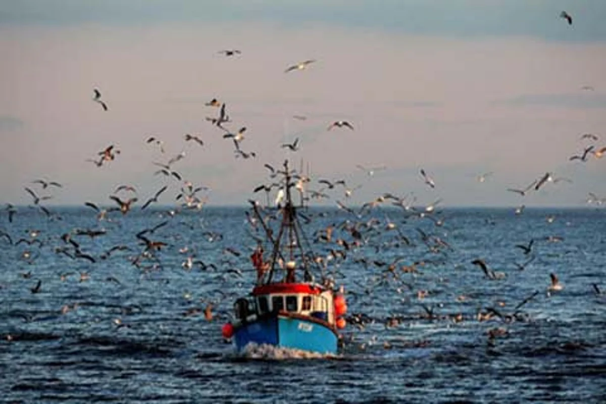 Pakistan releases 87 Indian fishermen