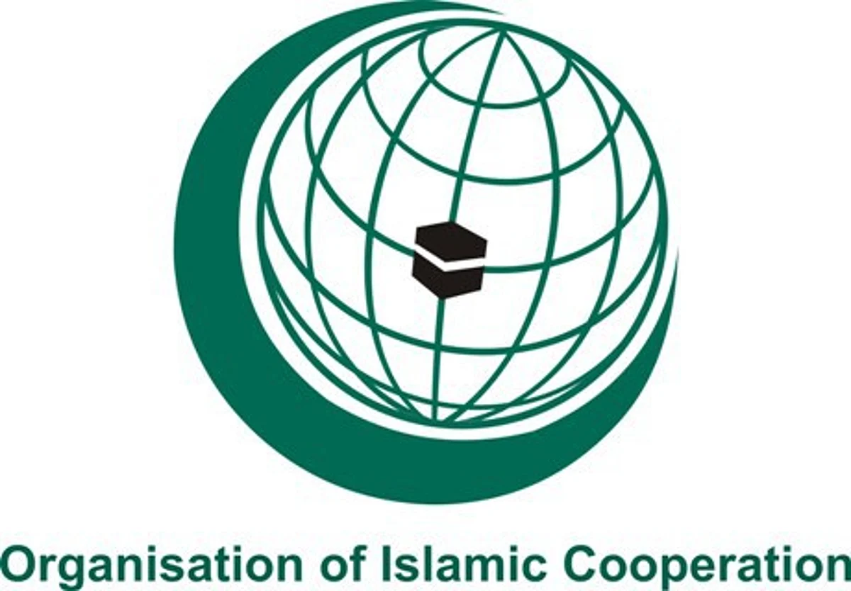 At Istanbul, OIC reaffirms support to Kashmiris’ right to self-determination