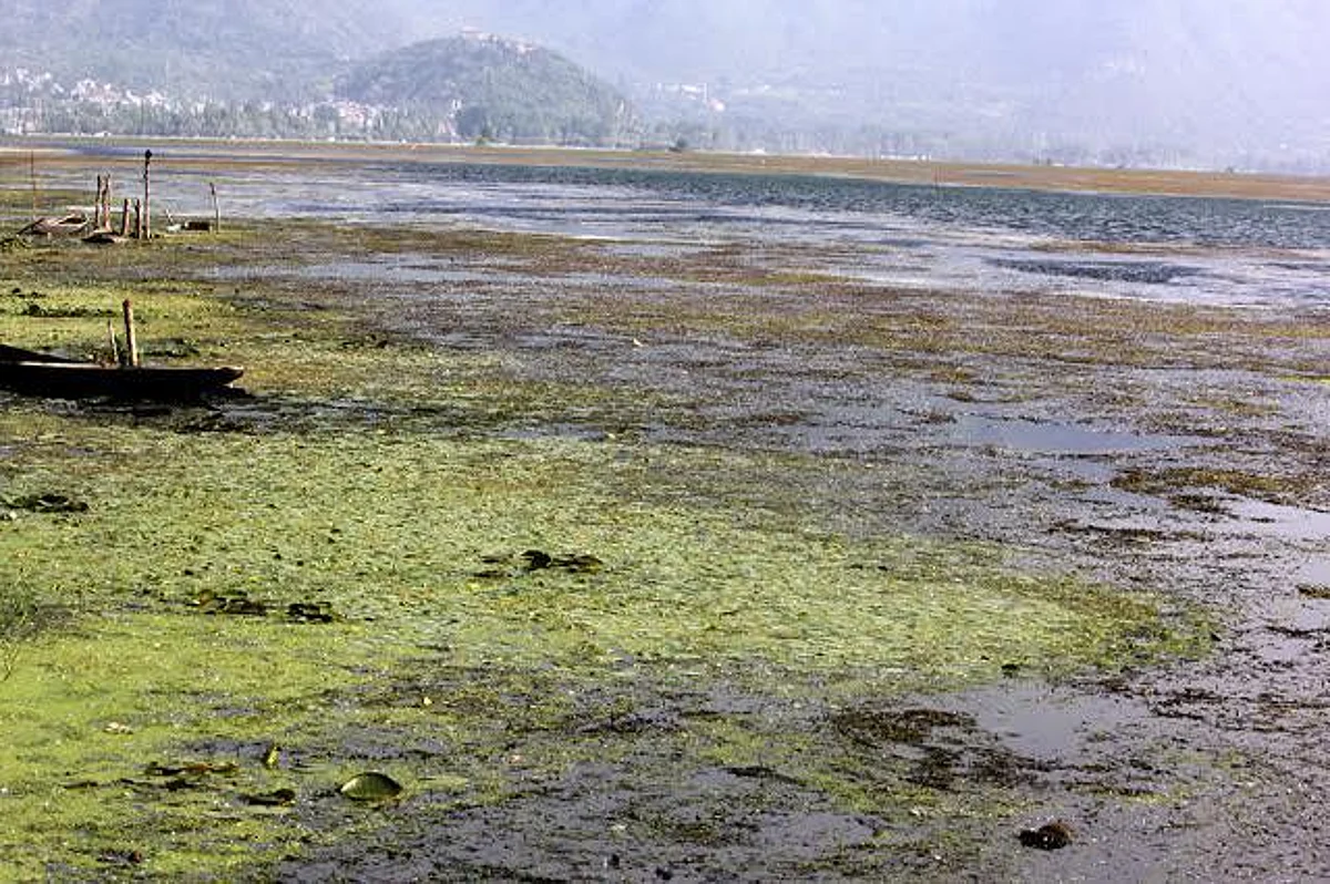 From Dal Lake to Dull Lake…