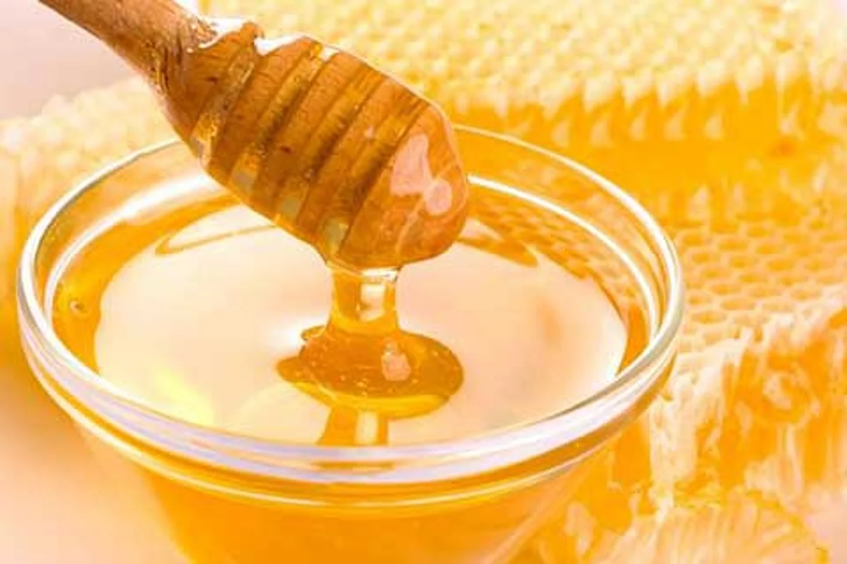Honey: Revelation & Scientific Paradigm