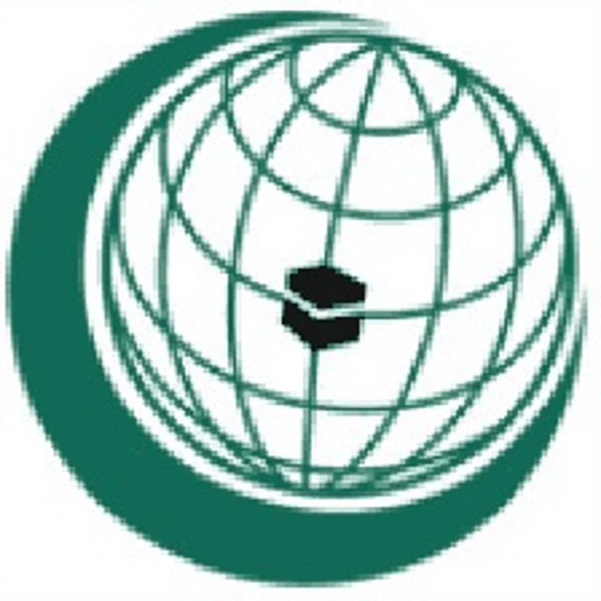 Turkey backs Pak on OIC mission