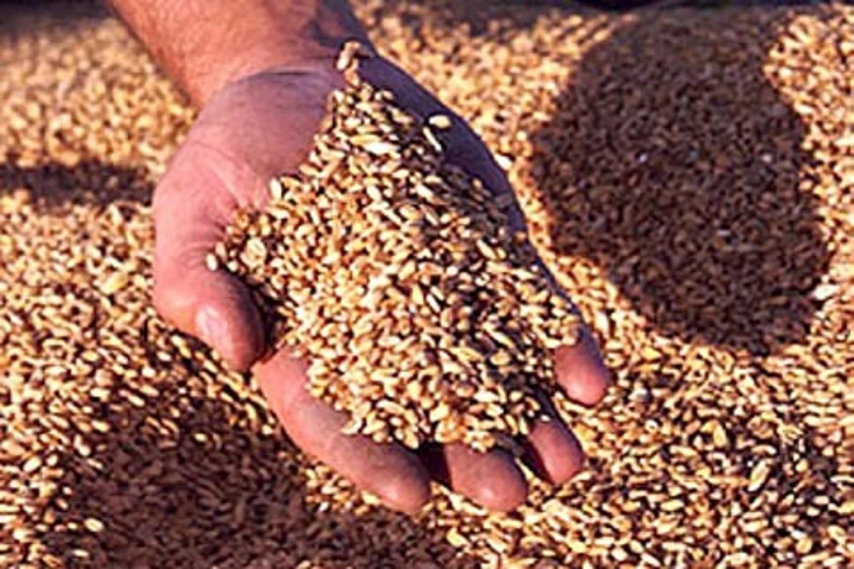 Govt for bringing transparency in ration distribution