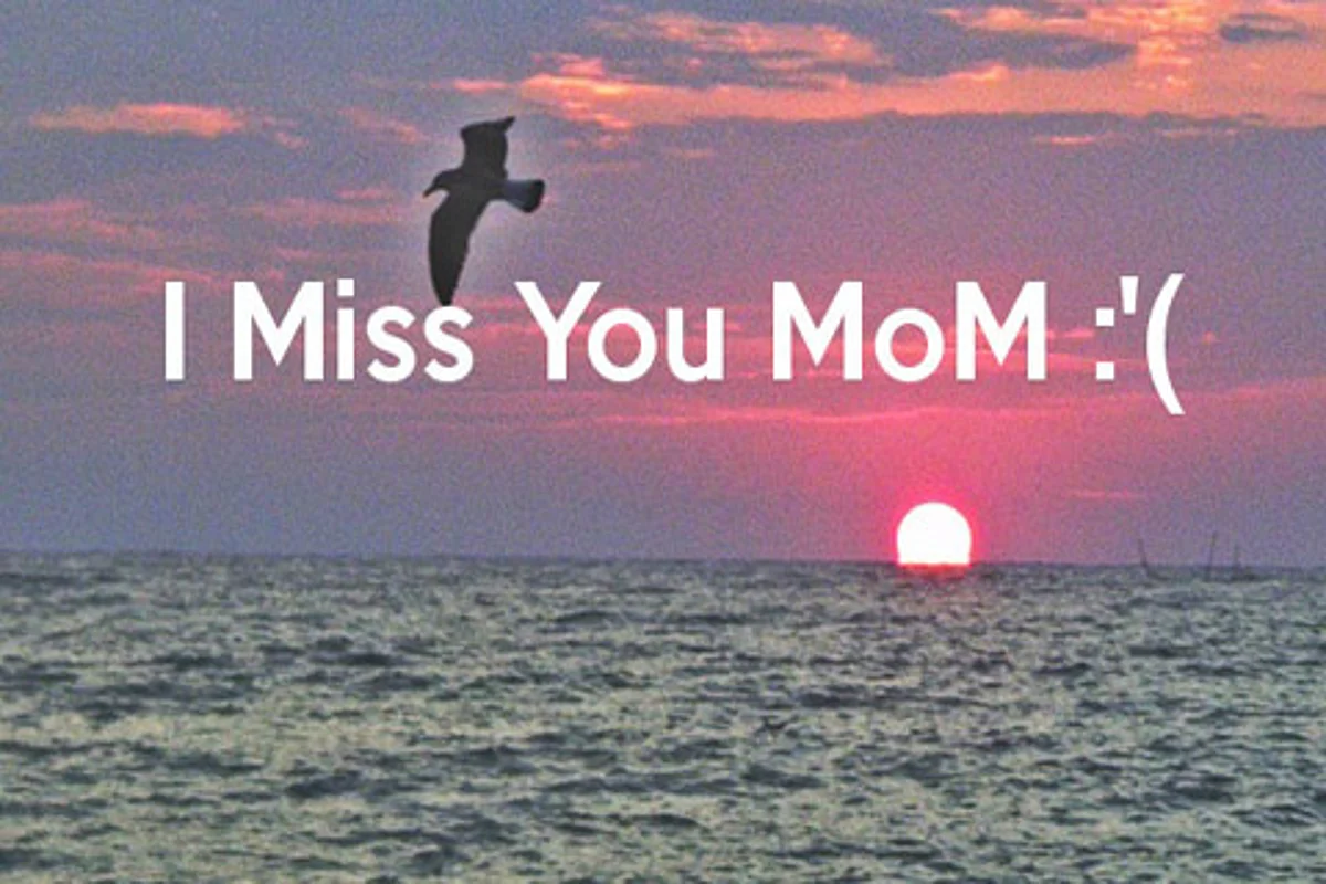 Phone gag: Kashmiri student Almas drops a heartbreaking message for mother