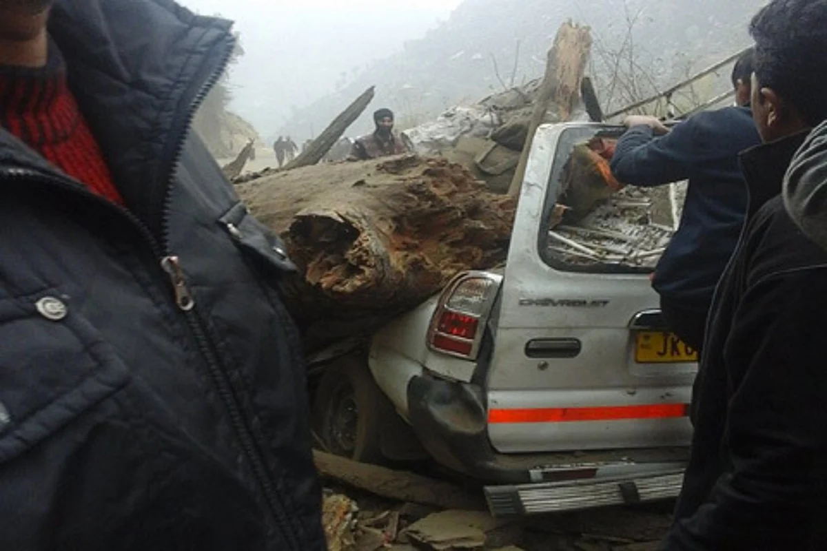 Two killed, 5 injured after tree falls on passenger vehicle near Banihal