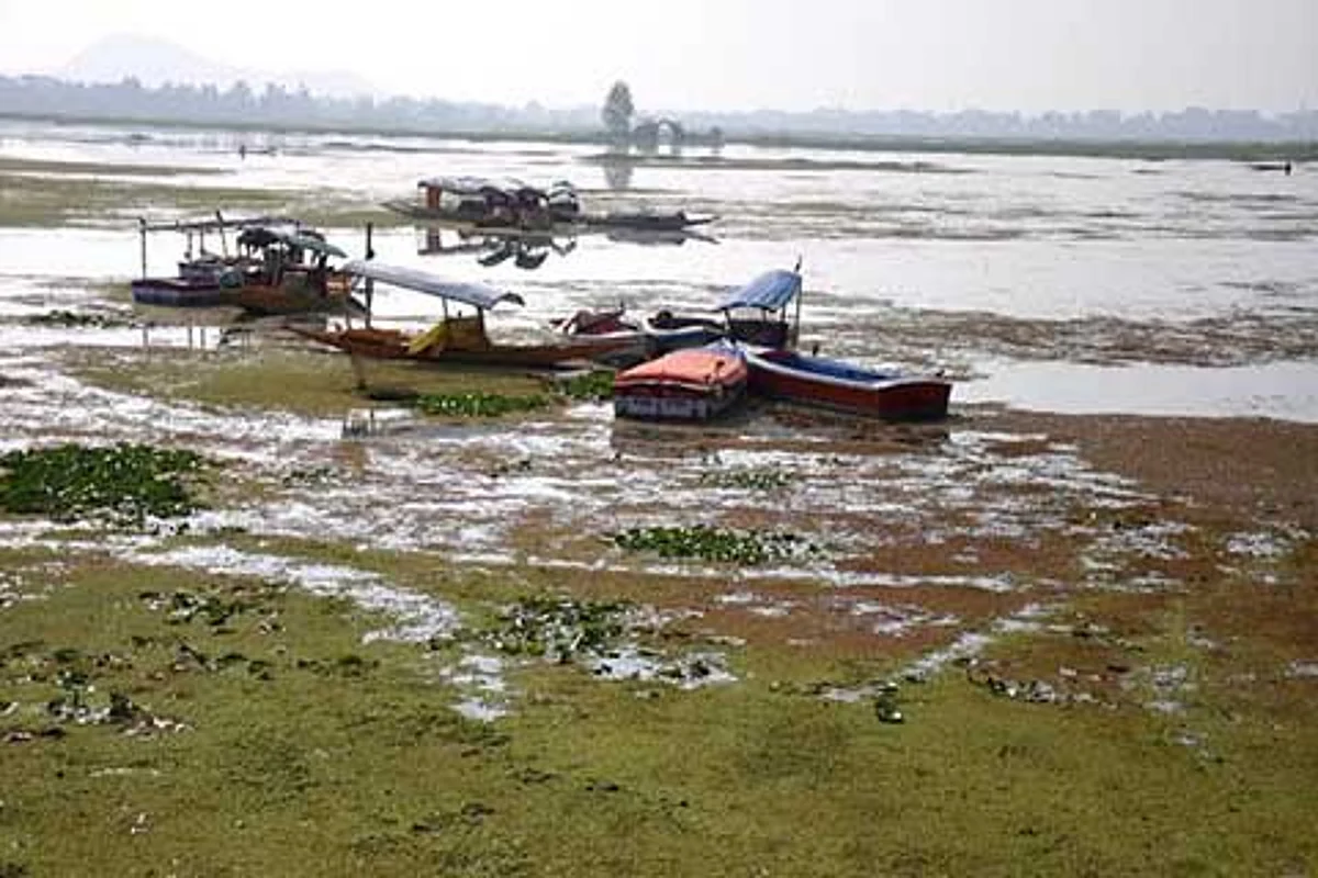 Deteriorating Dal Lake: Who is Responsible?