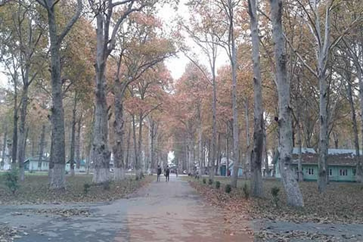 Longest dry spell of past decade ails Kashmir