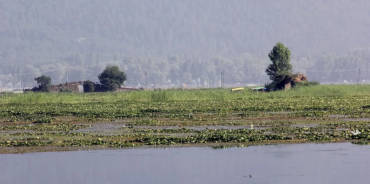 Authorities sit on dumping of construction material around Dal lake