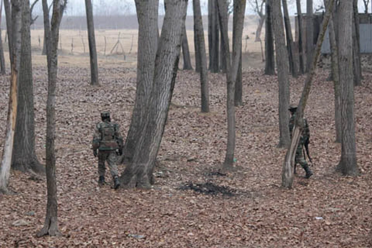 Video: Militant killed in Sopore shooting