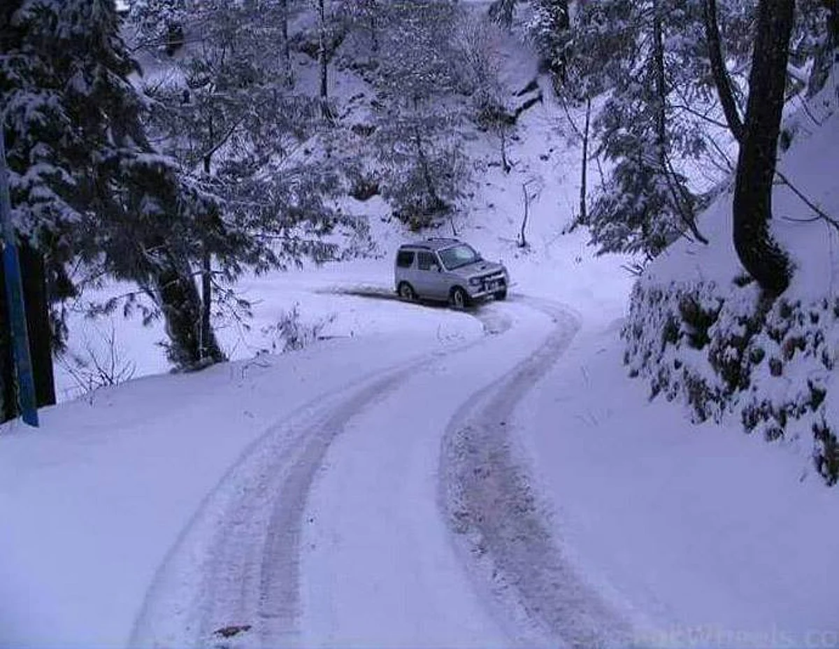 Weatherman predicts snow, sounds ‘alert’