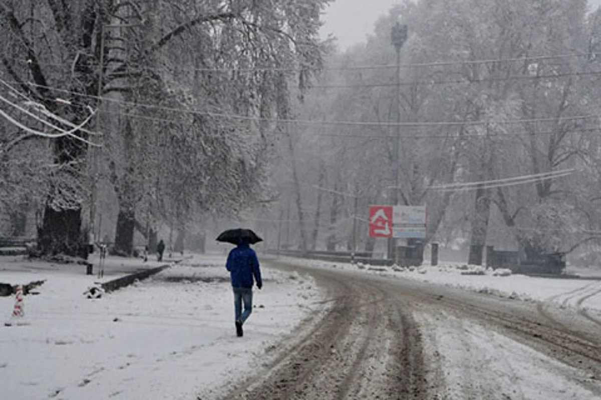 Video: Fresh snowfall breaks cold wave cycle in Kashmir