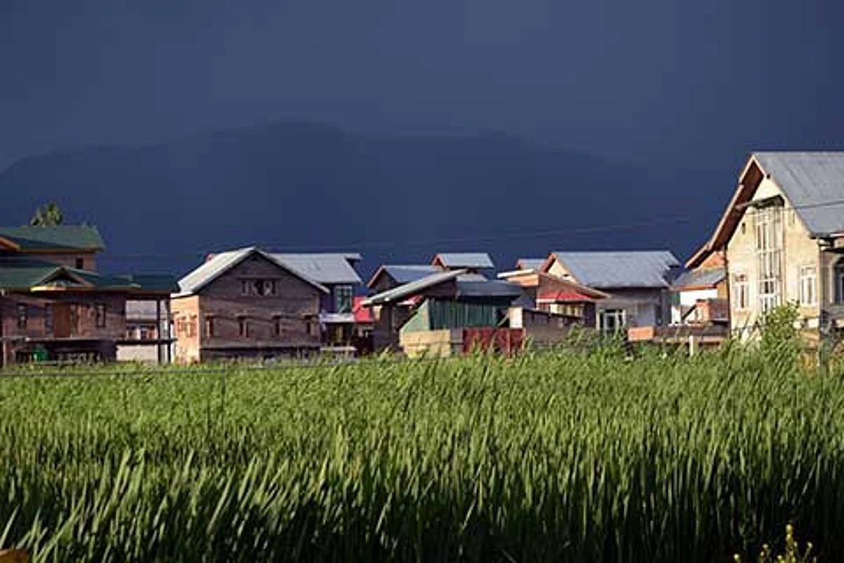 Govt admits failure in conserving agricultural land
