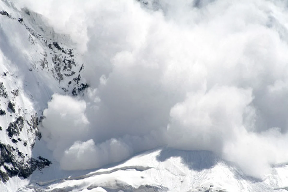 Five army personnel rescued alive from under snow in north Kashmir