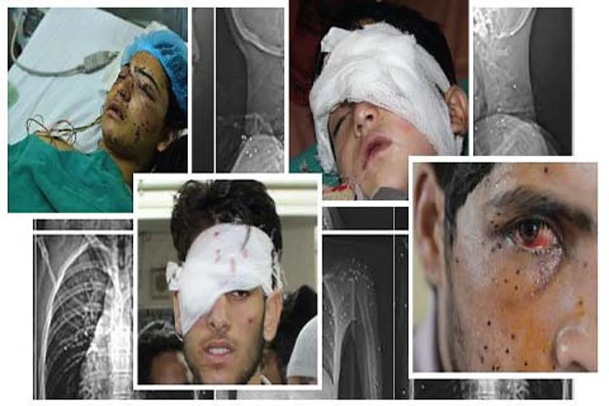 No proposal to ban pellets guns, says Govt
