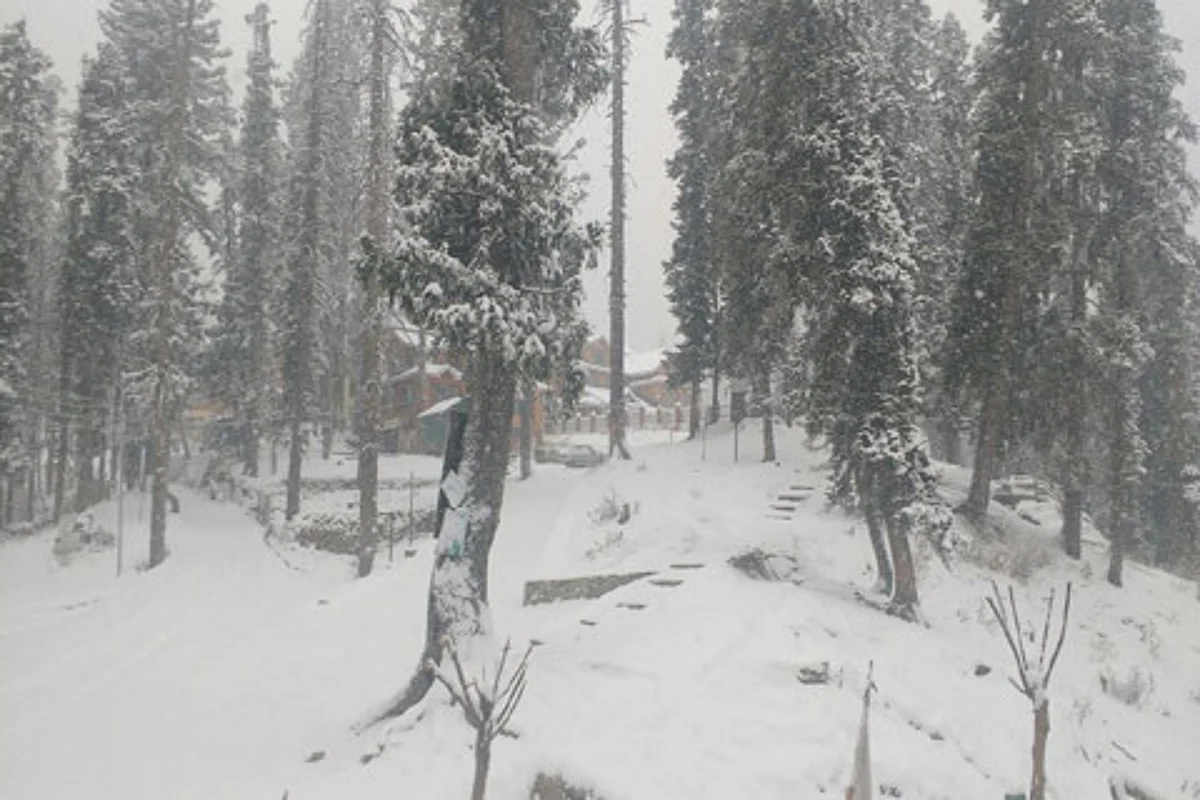 Sonamarg draped white; Kargil highway closed