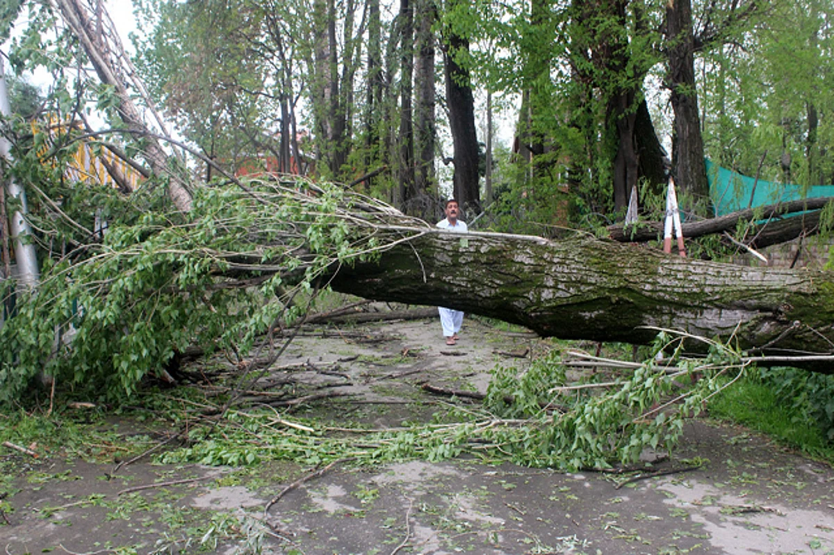 Mother-son duo dead, two other family members injured after tree falls on their tent in Shopian