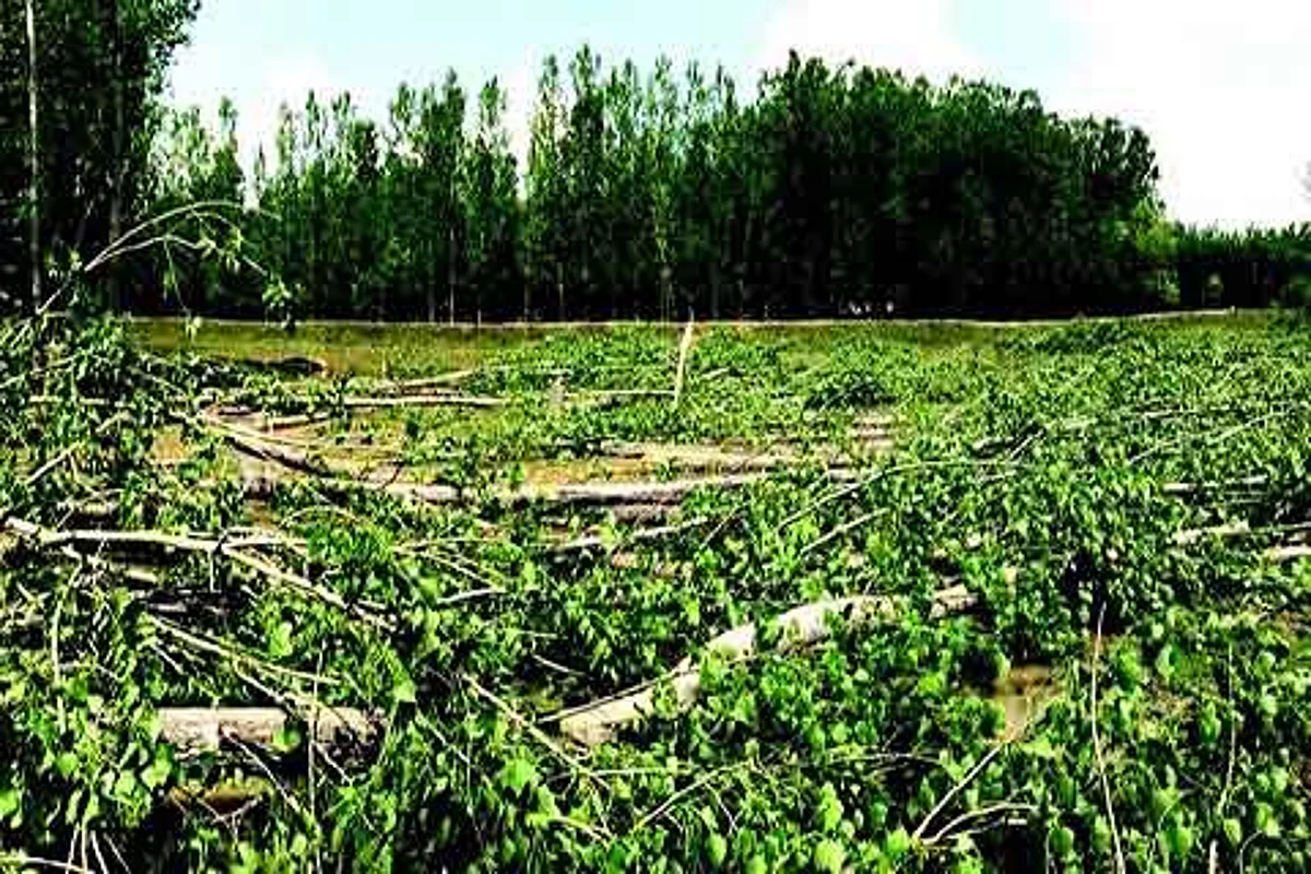 Restoration of Narbal flood spill channel begins