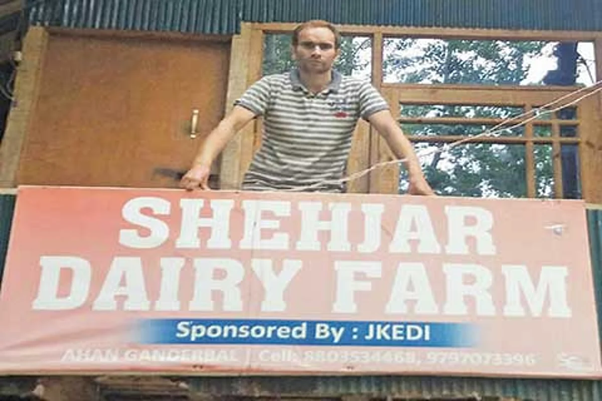White revolution: Turning fortunes with dairy farming