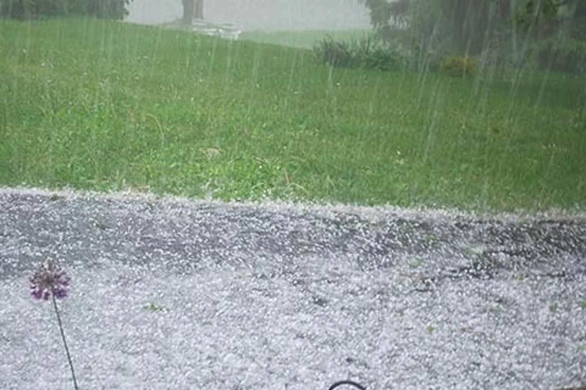 Hailstorm damages orchards in Handwara